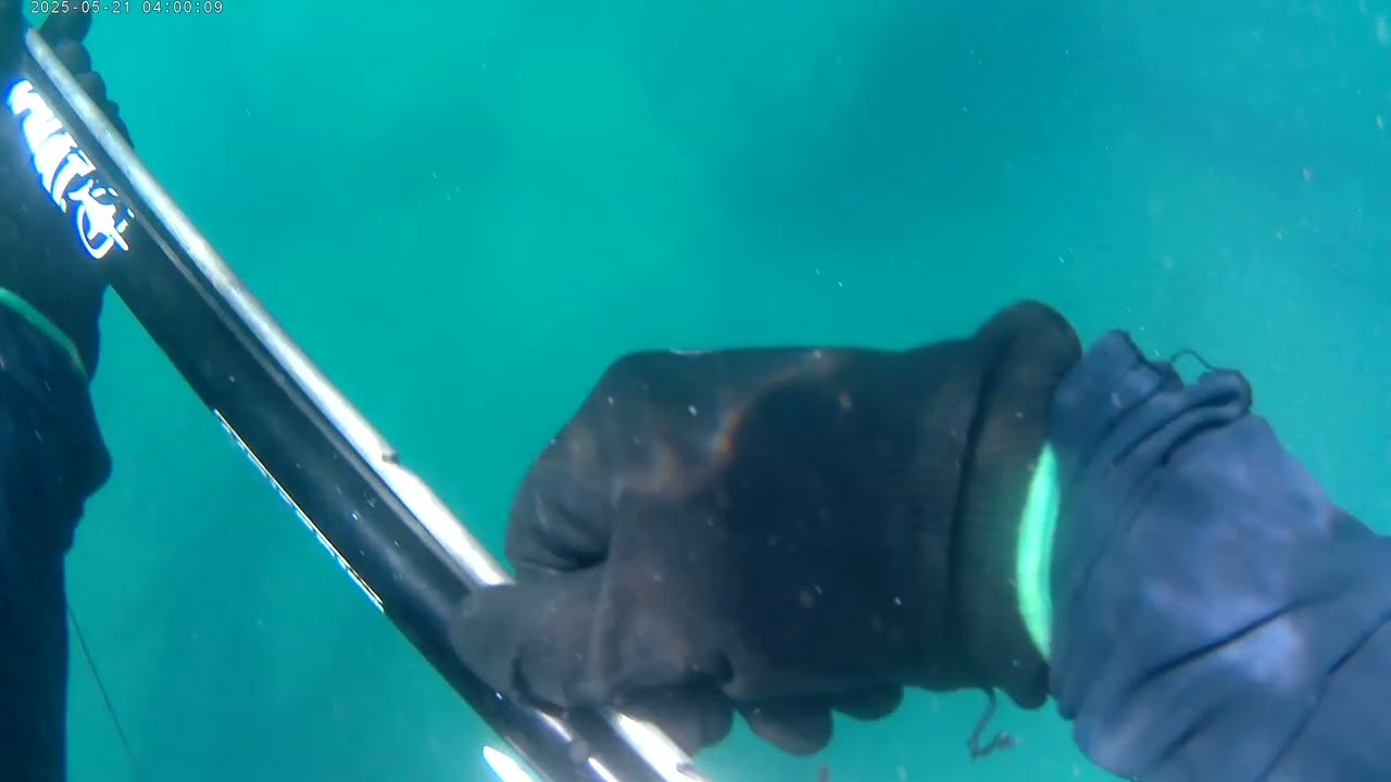 seguimos aprendiendo spearfishing