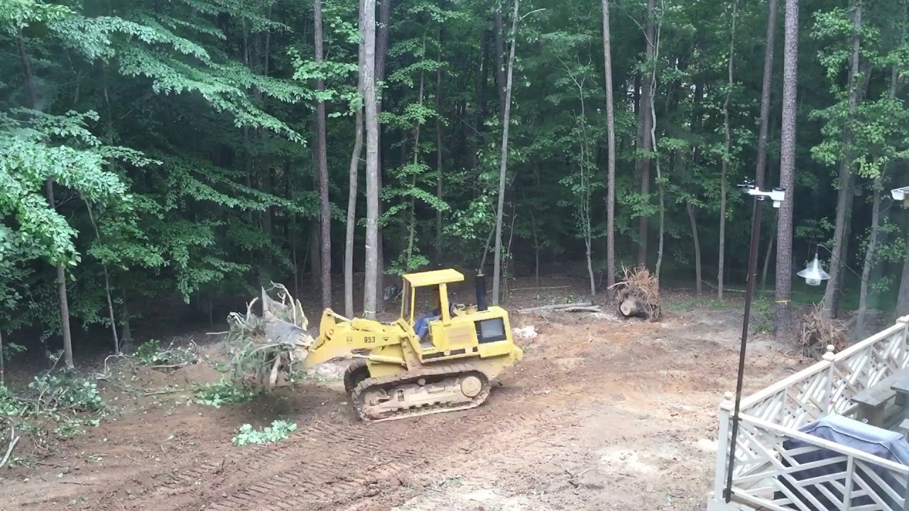 Cutting Down Trees Timelapse-2