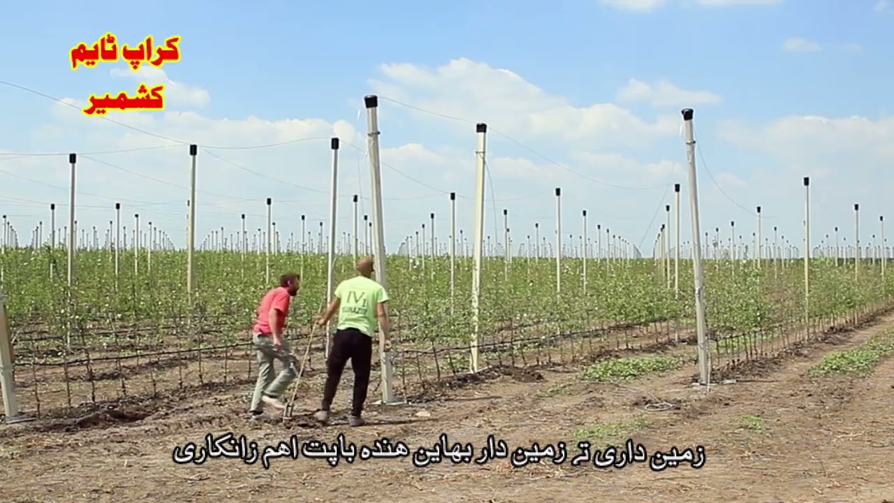 Croptime Kashmir ( Agriculture News )