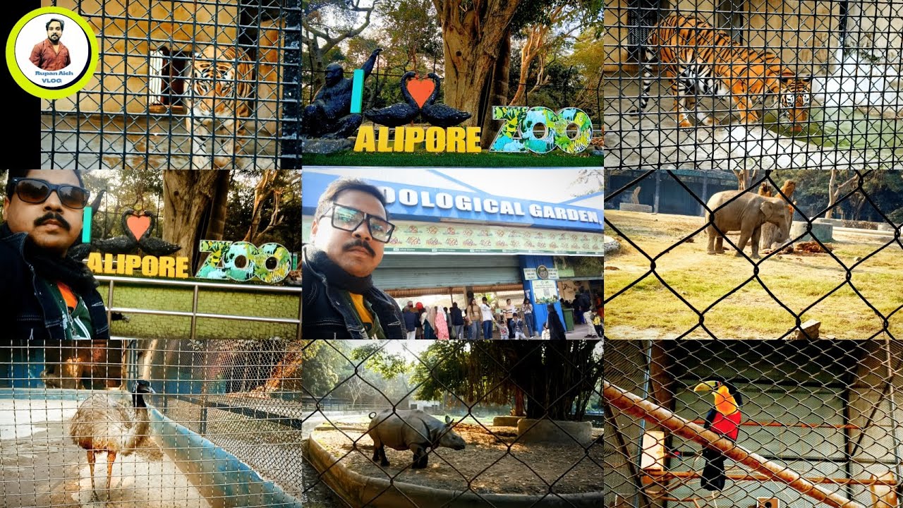 চিড়িয়াখানা গিয়ে যে এরকম অভিজ্ঞতা হবে ভাবিনি! Alipore Zoo Vlog 2026||আলিপুর চিড়িয়াখানা 2026