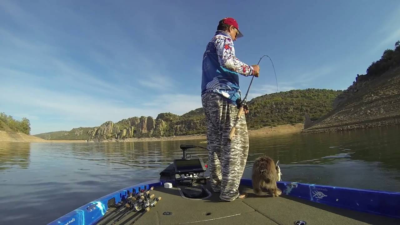 Top Water Time in Lake Cijara