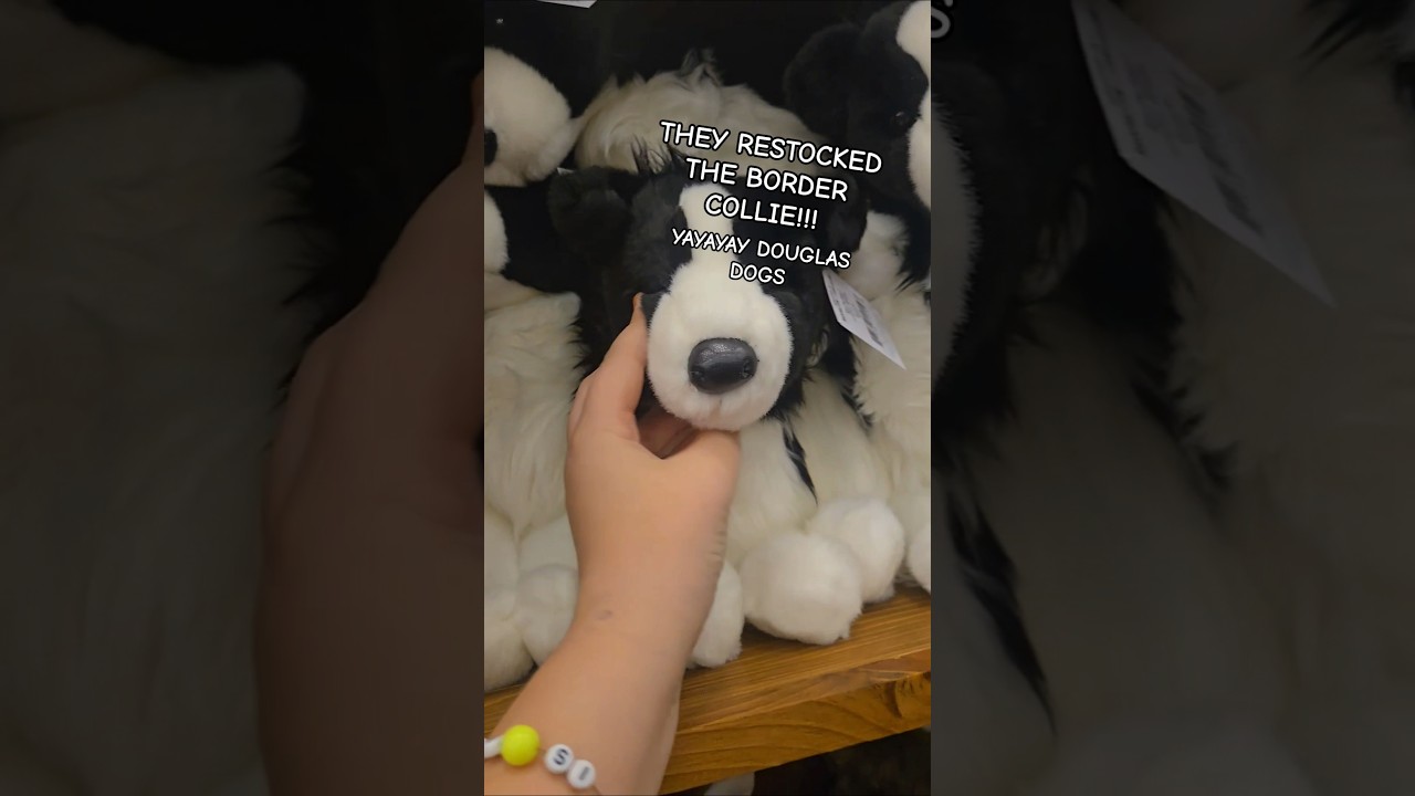 DOUGLAS BORDER COLLIE BACK IN STOCK! #douglasdog #bassproshop #basspro #stuffedanimals #essa