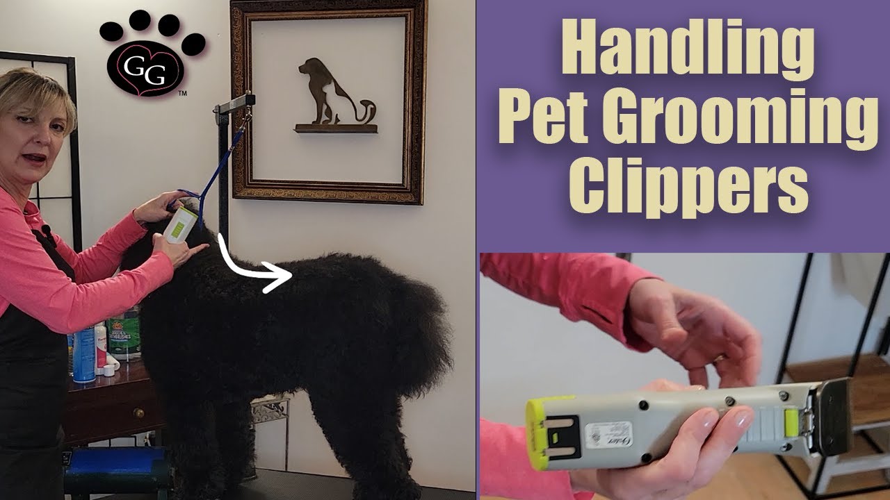 Handling Pet Grooming Clippers - How to Hold and In What Direction To Use