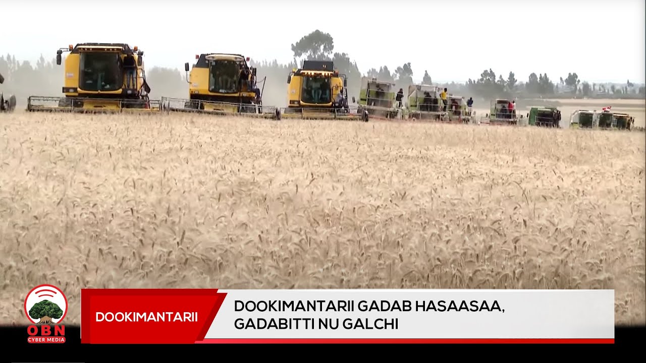 Dookumantarii Gadab Hasaasaa || Gadabitti Nu Galchi ||