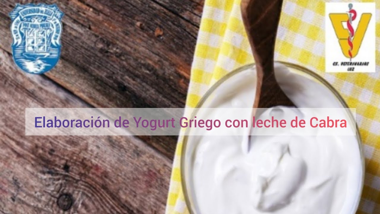 Elaboración de Yogurt Griego con leche de Cabra.