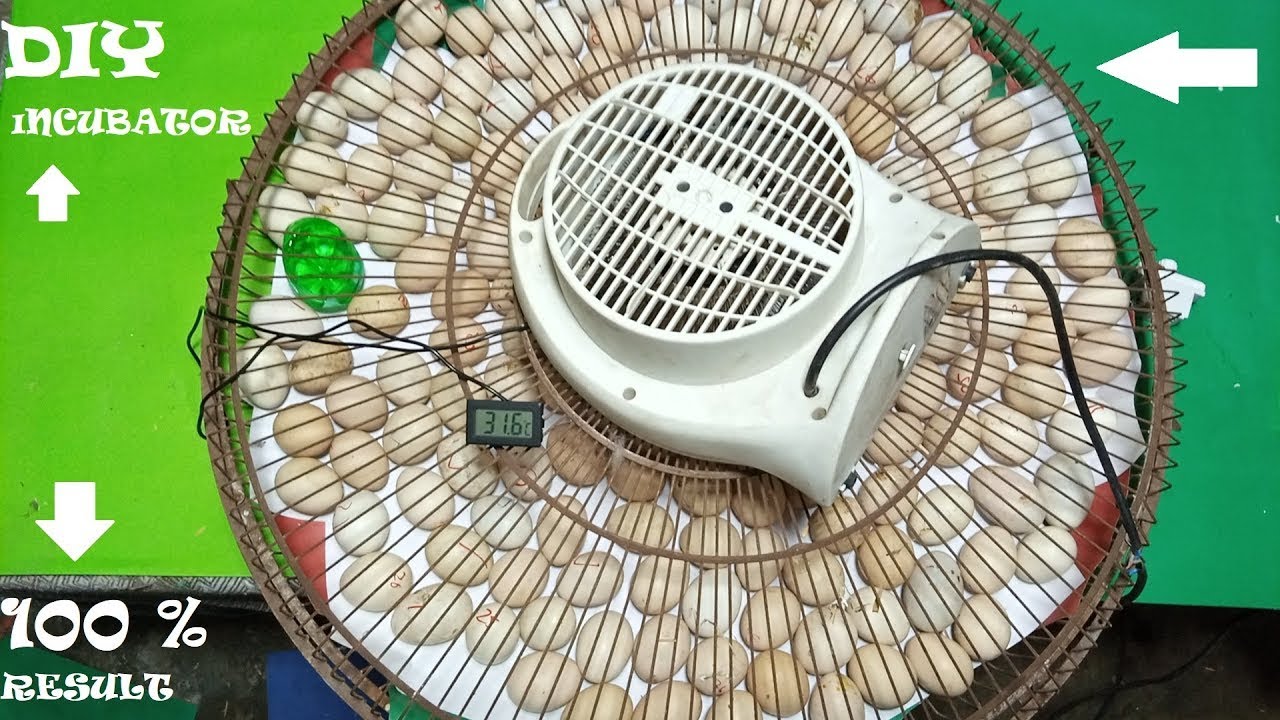 DIY -  HOMEMADE INCUBATOR  || How to make Eggs Incubator at home || 200 eggs homemade incubator