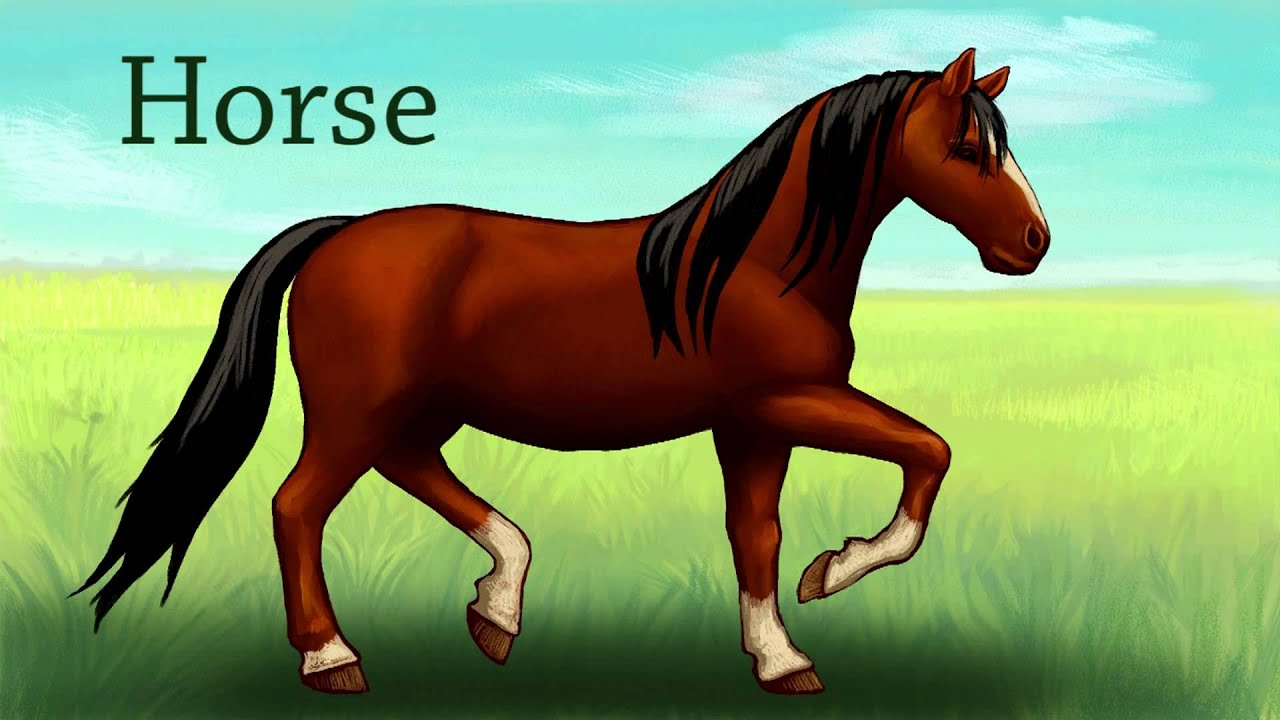 Farm Animals for Kids | Zoo animals for preschool and kindergarten