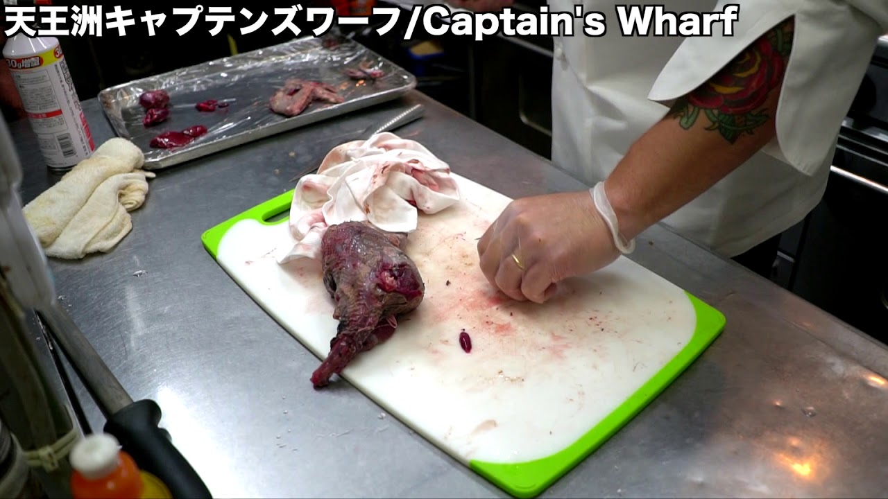丸鳥のさばき方「ハト」編　 #ジビエ #キジ #捌き方 #天王洲 #レストラン #キャプテンズワーフ