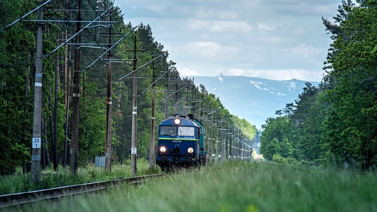 Leśna cisza przerwana | SU46-031