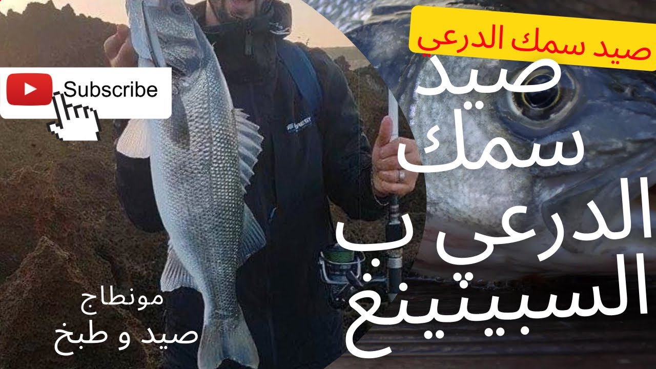 صيد سمك الدرعي ب السبينينغ الراكلو ،مونطاج صيد و طبخ