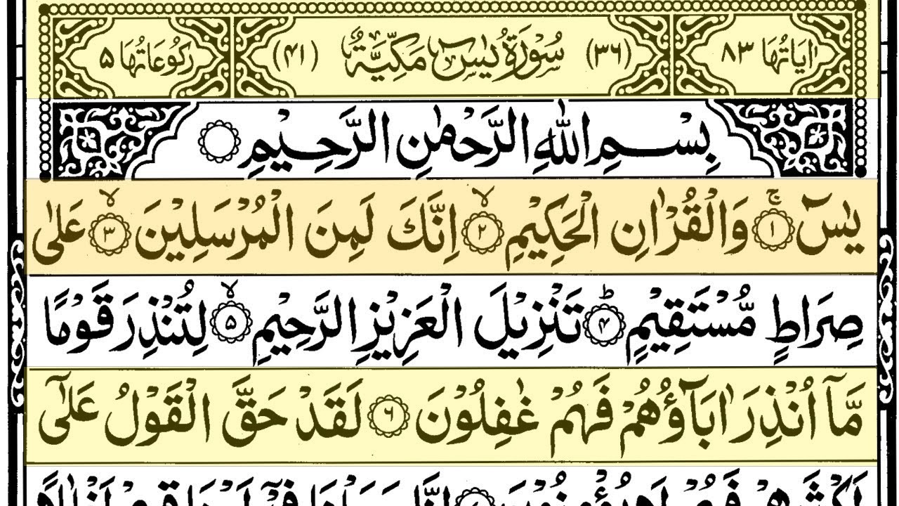 UntitledSurah Yaseen Surah Ar Rahman | Best Quran Recitation | Surah Yasin Tilawat | Episode_002