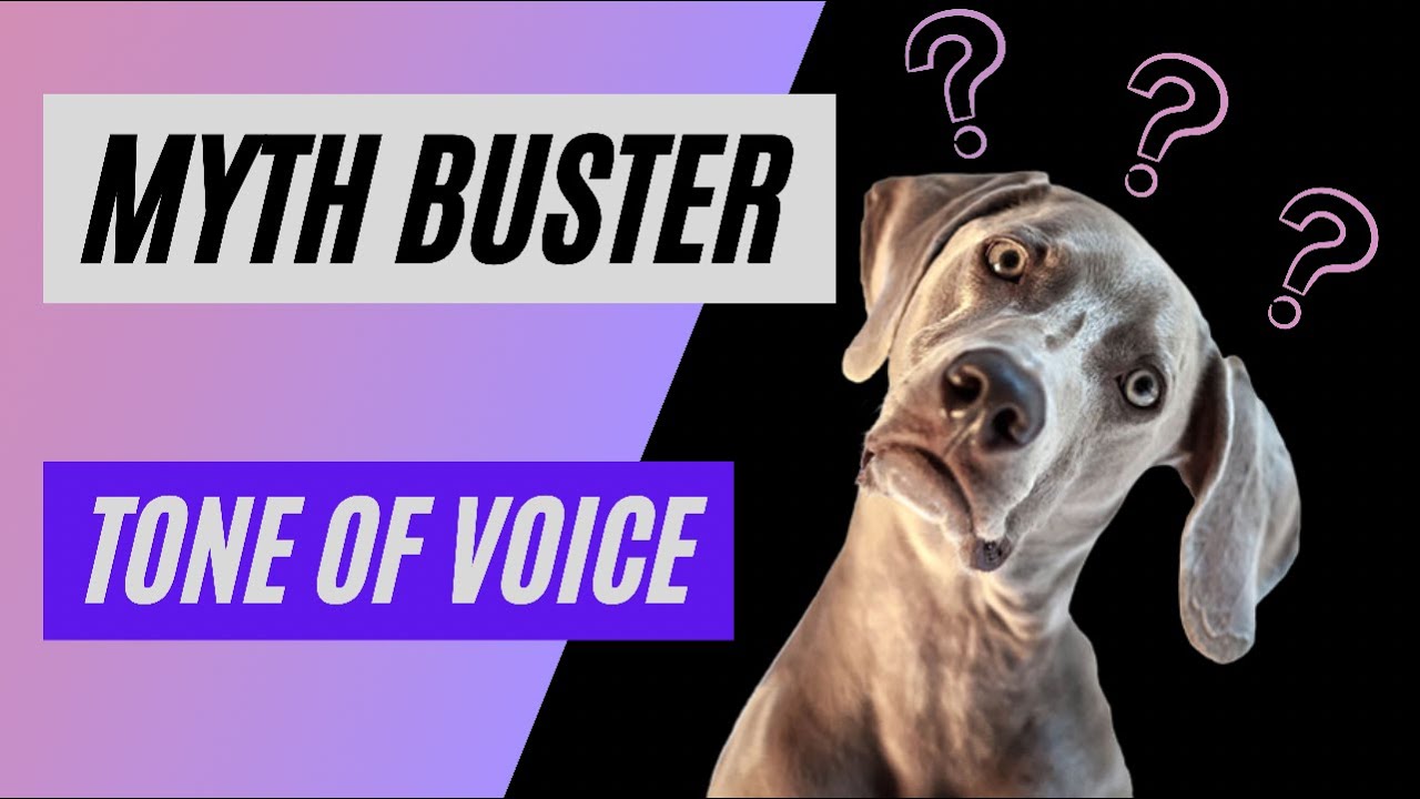 Does Your Tone Of Voice Matter? Debunking Dog Myths