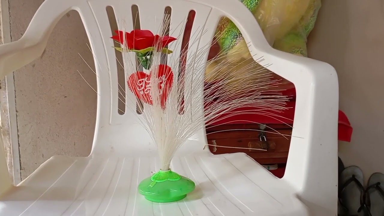 12 de março de 2026