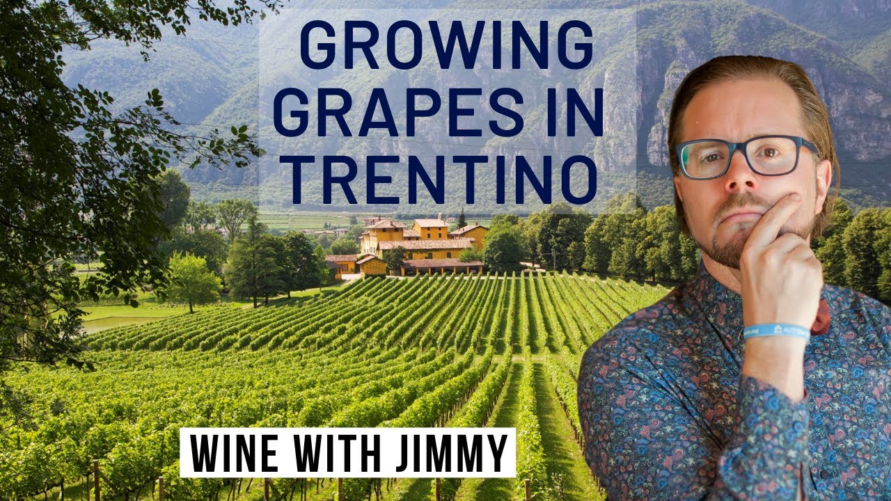 Диплом WSET 4 уровня D3, Италия, Трентино, виноградарство
