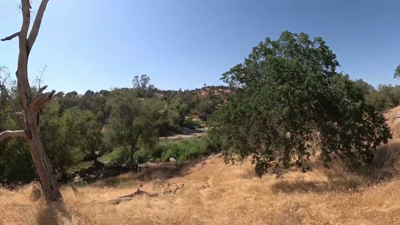 Extremely Relaxing Nature Walk With Music