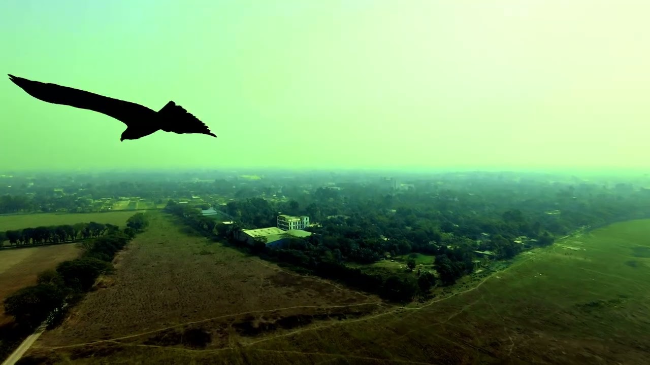 Drone shot