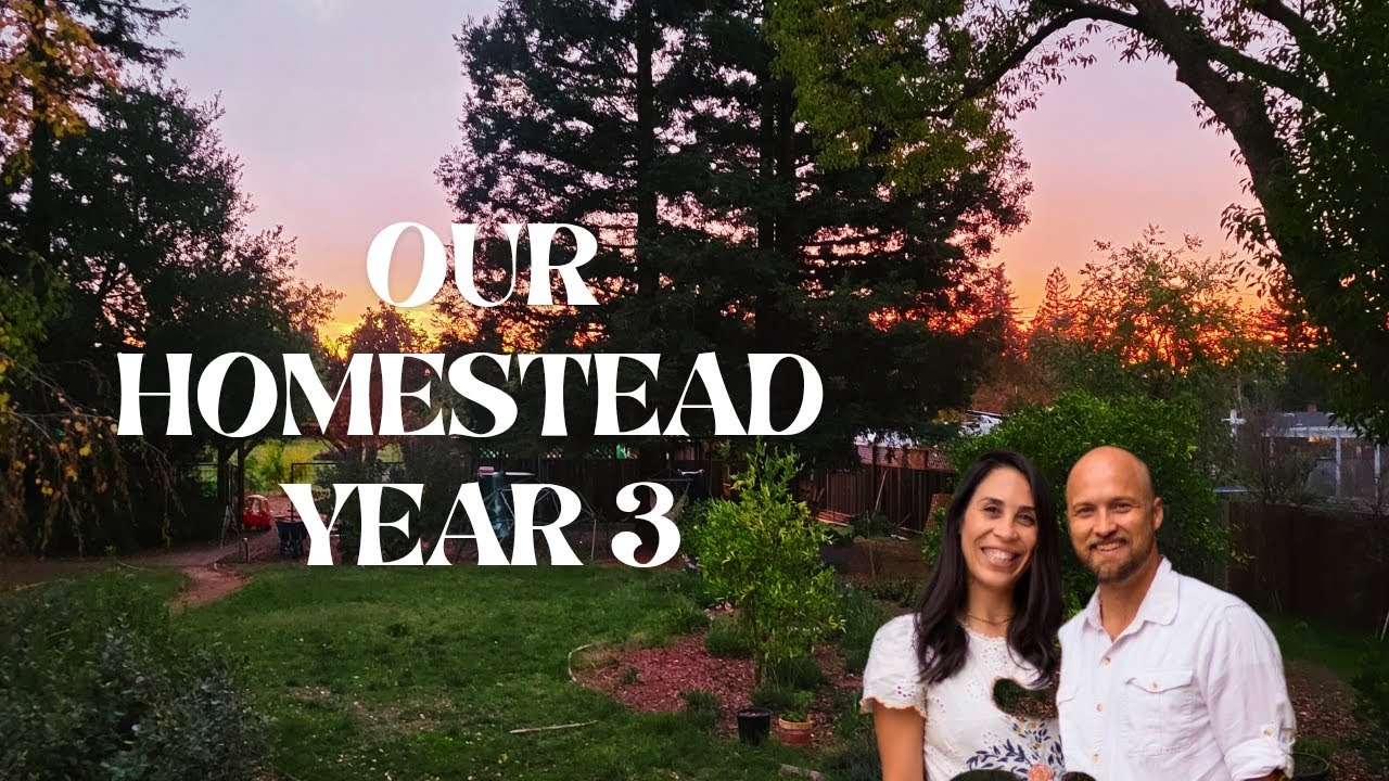 From Raw Land to Blessing: God Gave Us This Homestead | Year 3 Full Homestead Tour