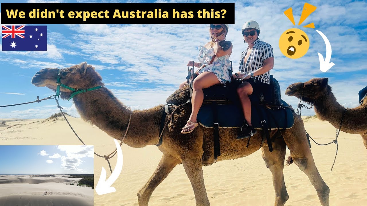 Day Tour at Port Stephens 😍 | We didn't expect Australia has this 😲#sydneyaustralia #newsouthwales