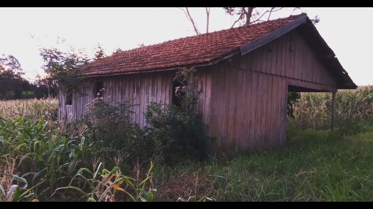 Encontramos uma Cobra Enorme do Lado da Casa Abandonada, Eu Quase Pisei em Cima Dela