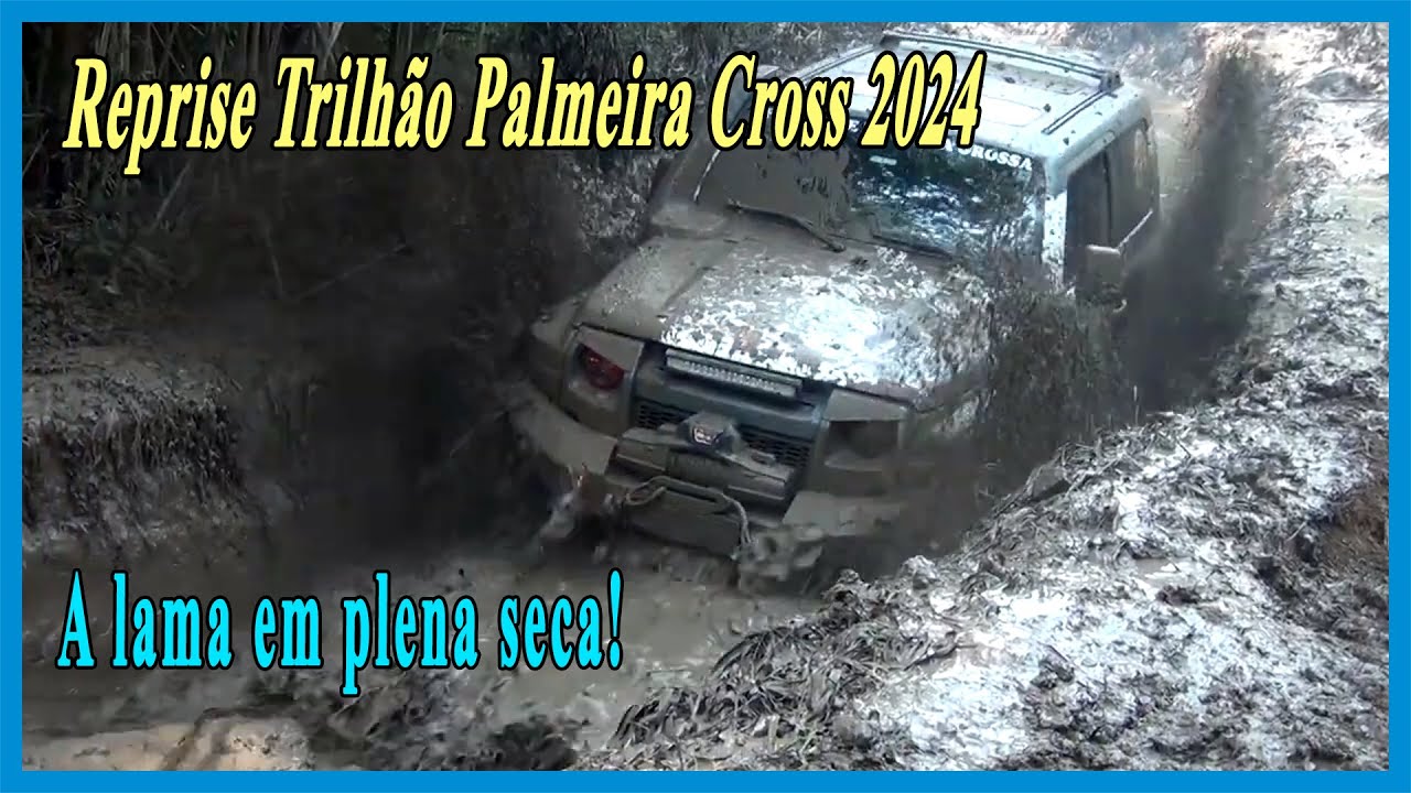 SportMachine Reprise Trilhão Palmeira Cross 2024