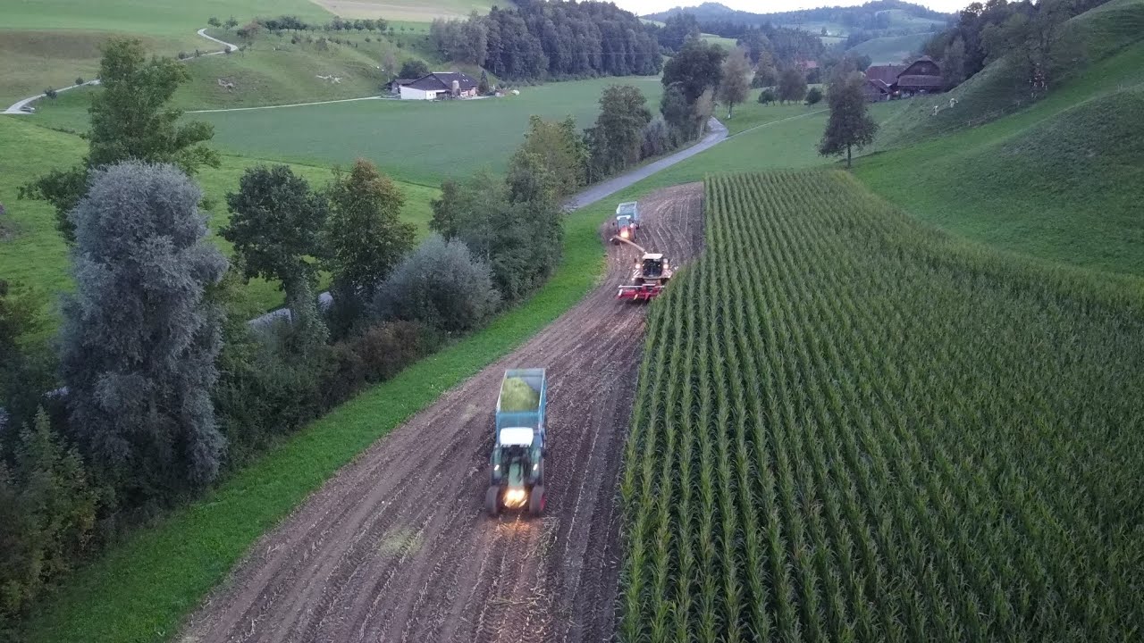 Meier Pressbetrieb bei der Mais Ernte🌽🚜🤩
