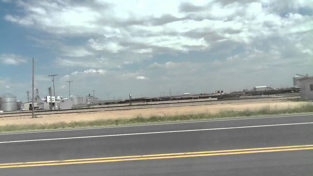 Montfort Feedlot