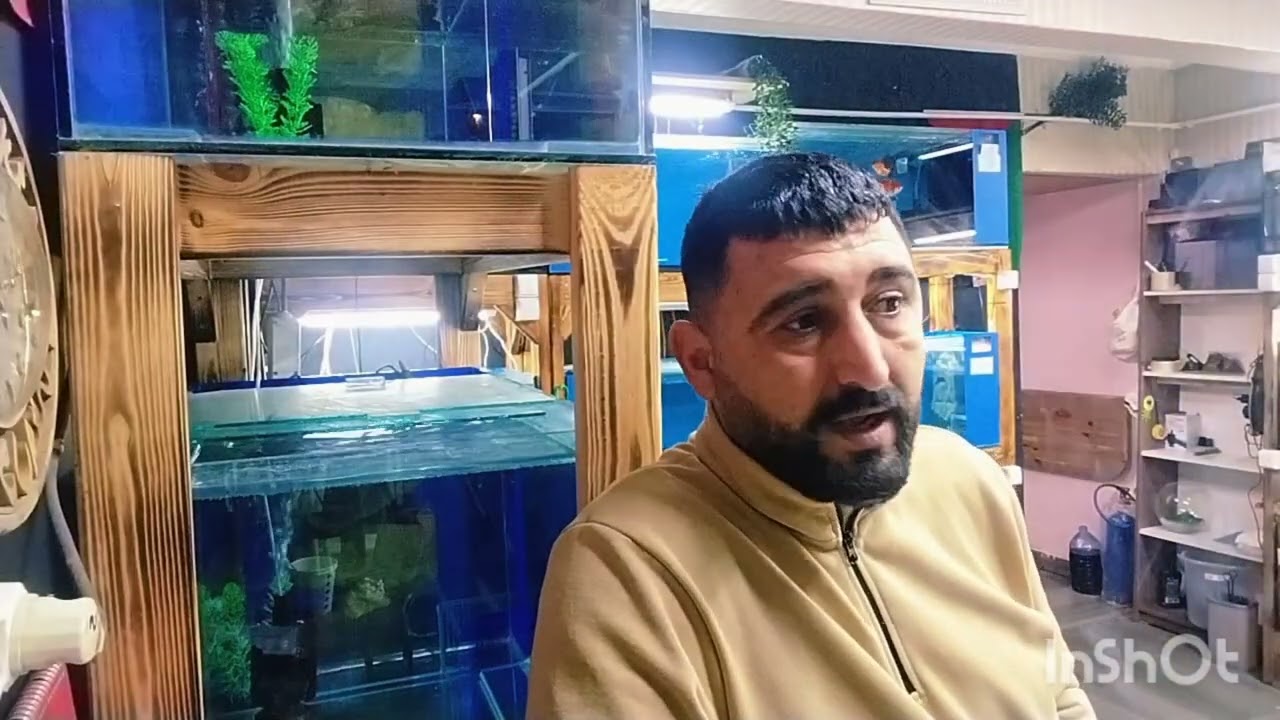 Teşekkürler TÜRKİYEM #goldfish #keşfet#oranda #viral#izle#pets #video#oranda_gold_fish #goldfishtank