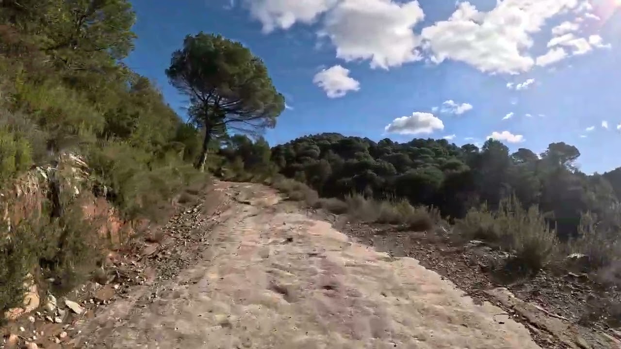 ·riera de talamanca· 2602