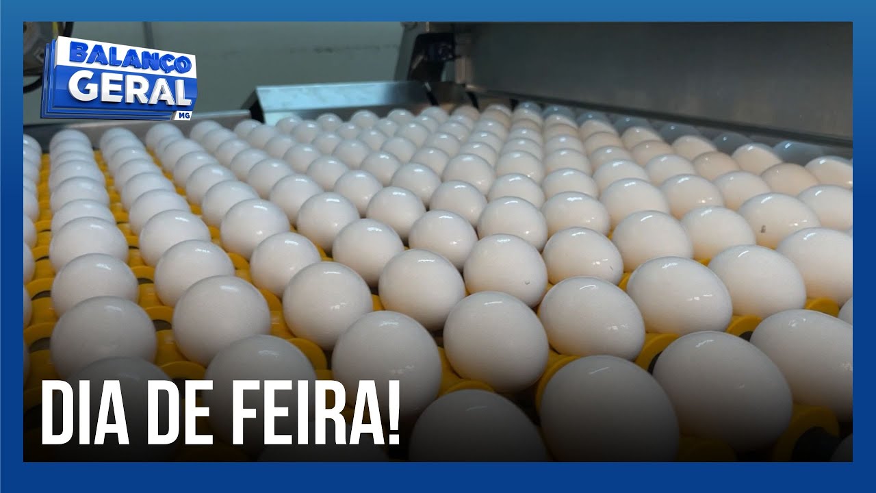 Ovo mais barato alivia o bolso do consumidor