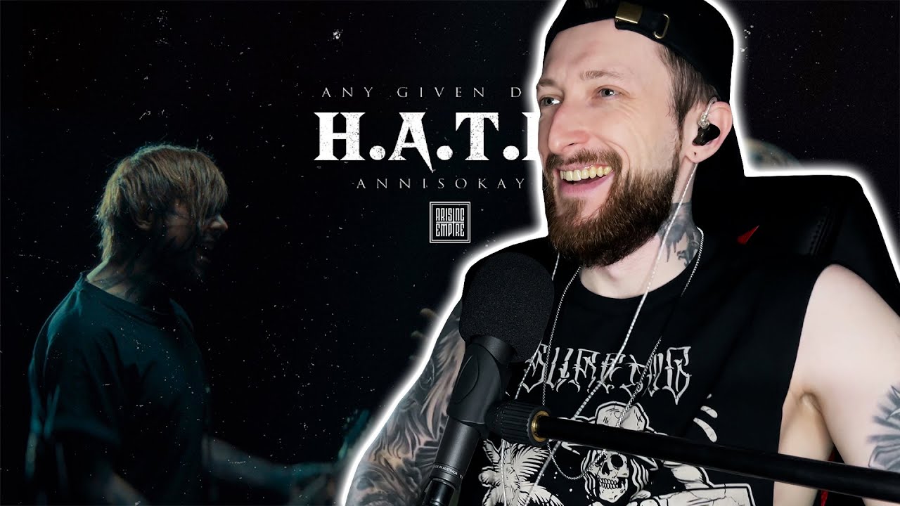 ANY GIVEN DAY & ANNISOKAY | H.A.T.E. | Реакция музыканта
