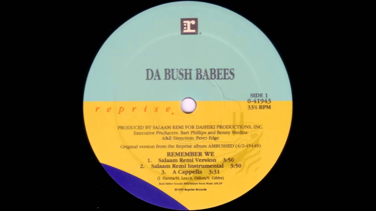 da bush babees-remember we (salaam remi remix instrumental)