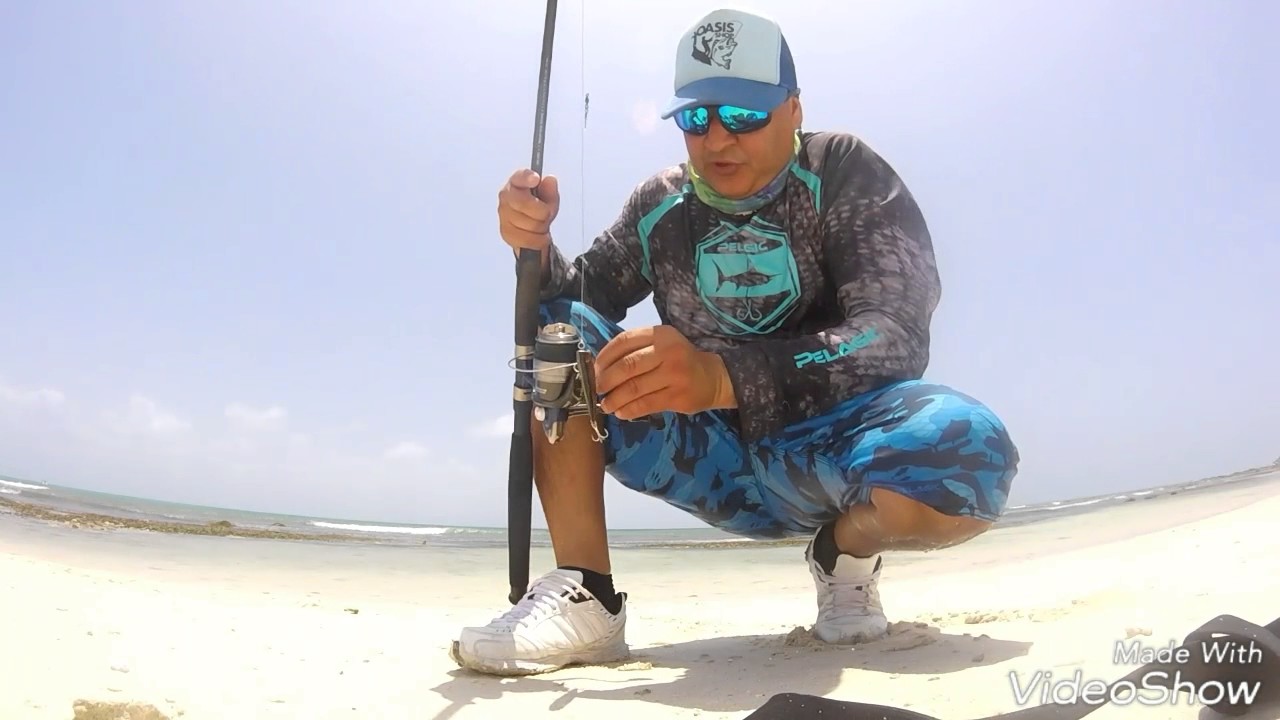 ARASHI BEACH ARUBA (BARACUDA)