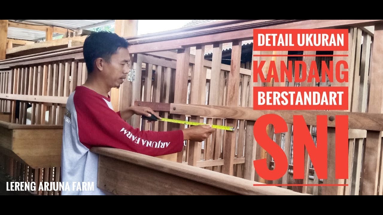 UKURAN KANDANG KAMBING IDEAL