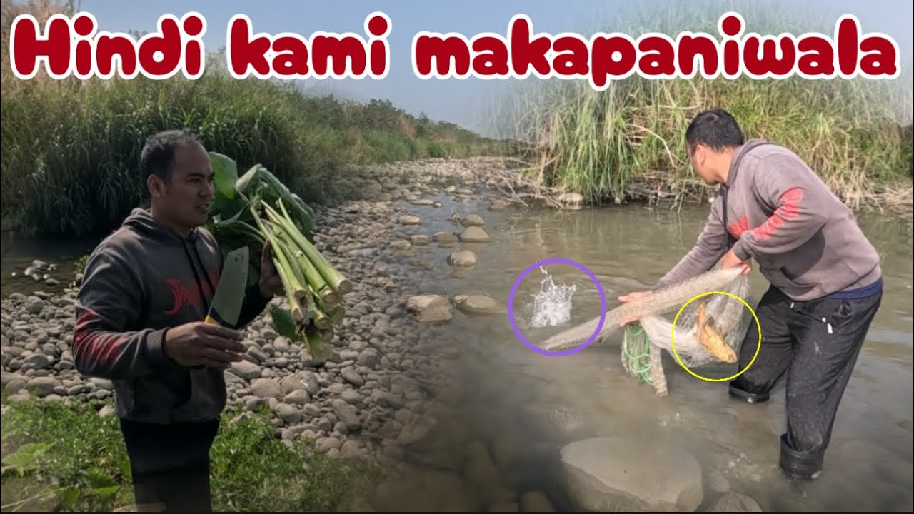 Ano kaya nangyari natuyot ang ilog?at natrap ang napakadaming isda