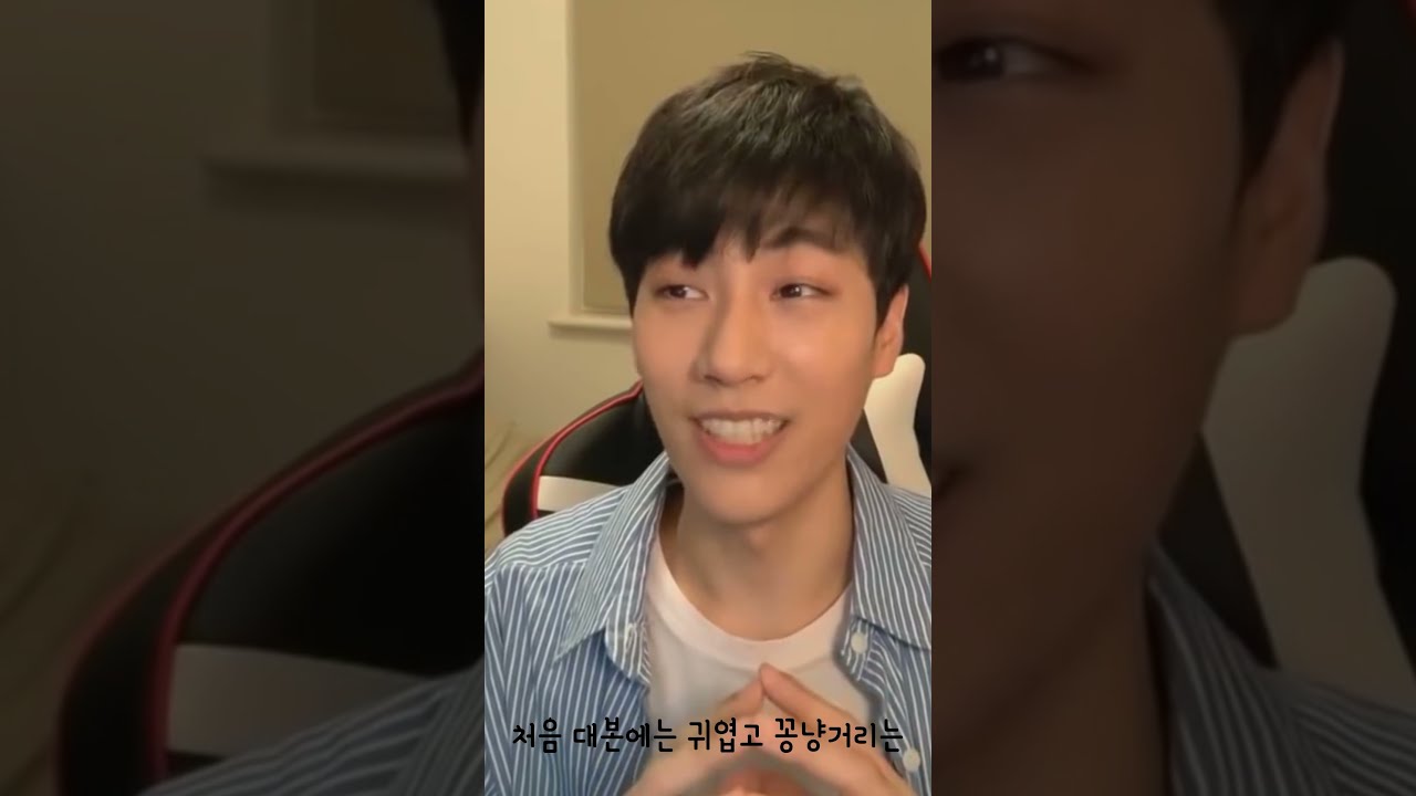 [ 한글 자막 - 의,오역 有 ]소파신에 관한 각자의 생각