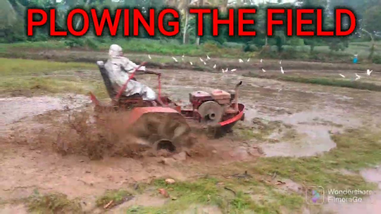 Plowing the field with boat tractor #🇱🇰#Sri lanka#🇱🇰#