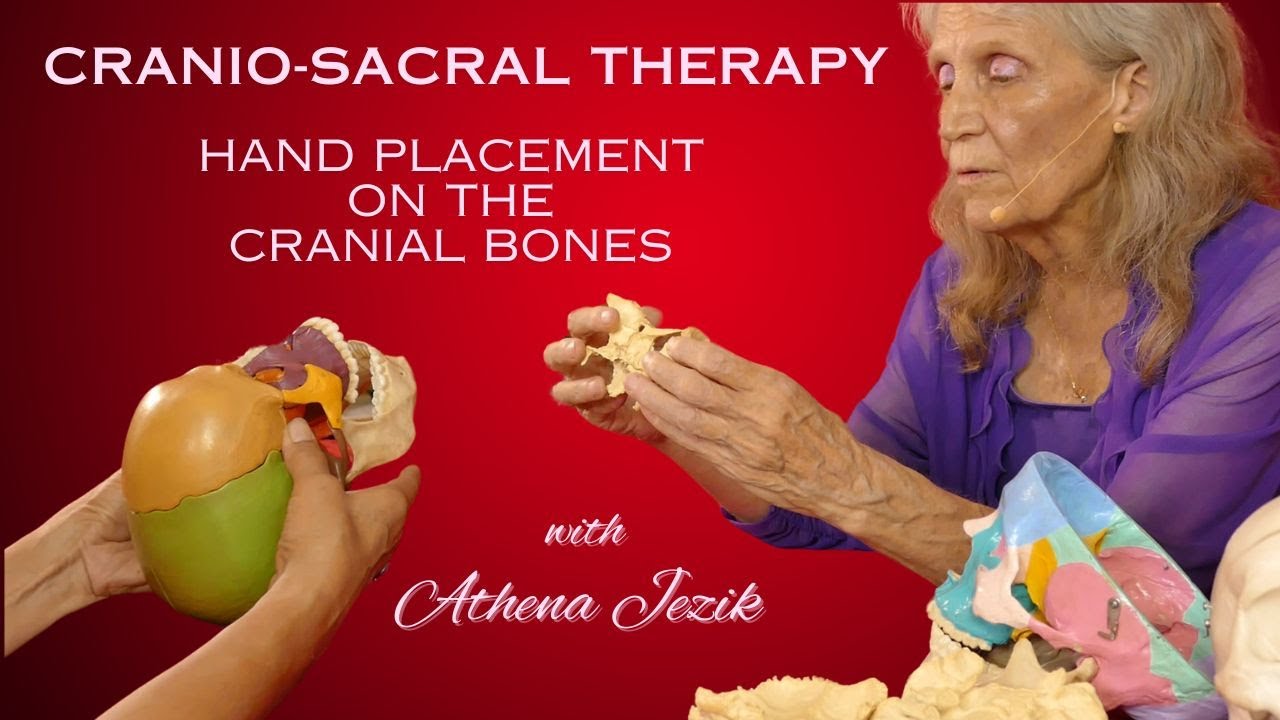 Cranio-Sacral Therapy, Part 3: Advanced Tutorial on Cranial Bone Hand Placement, How To, Anatomy