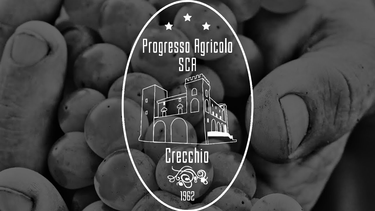 La storia della cantina Sociale  di Crecchio