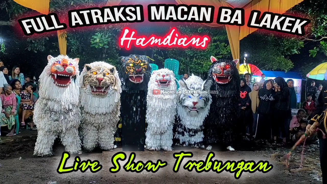 TERBARU!!! LIVE SHOW TREBUNGAN FULL ATRAKSI MACAN BA LAKEK HAMDIANS