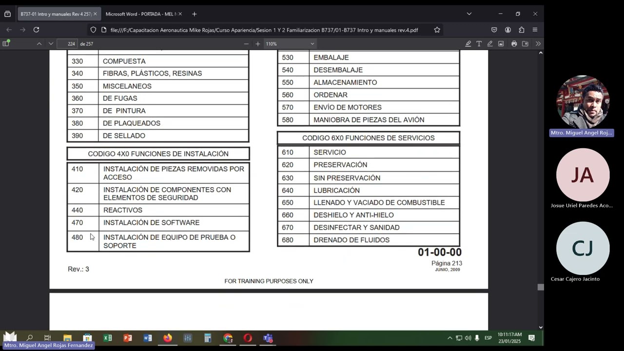 Sesion 31 Apariencia  Manual de Mantenimiento de Aeronaves Boeing 737