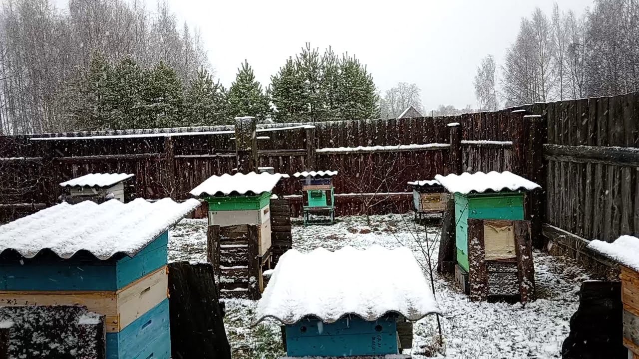 Релакс от Пчеловода