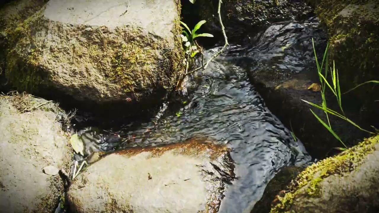 Relax to the soothing sound of a stream flowing over rocks, accompanied by distant birdsong.