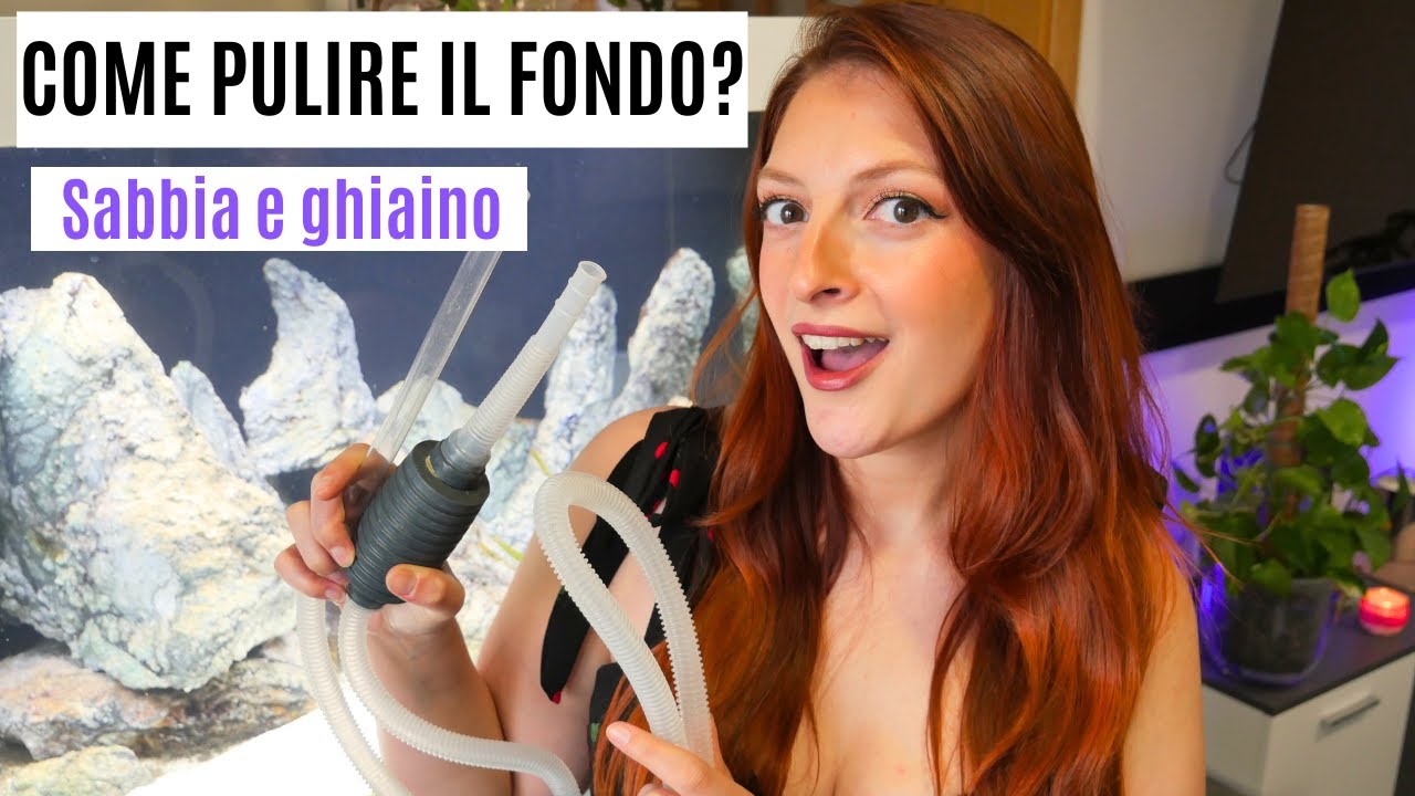 Come pulire i diversi tipi di FONDO in ACQUARIO 💦🐠