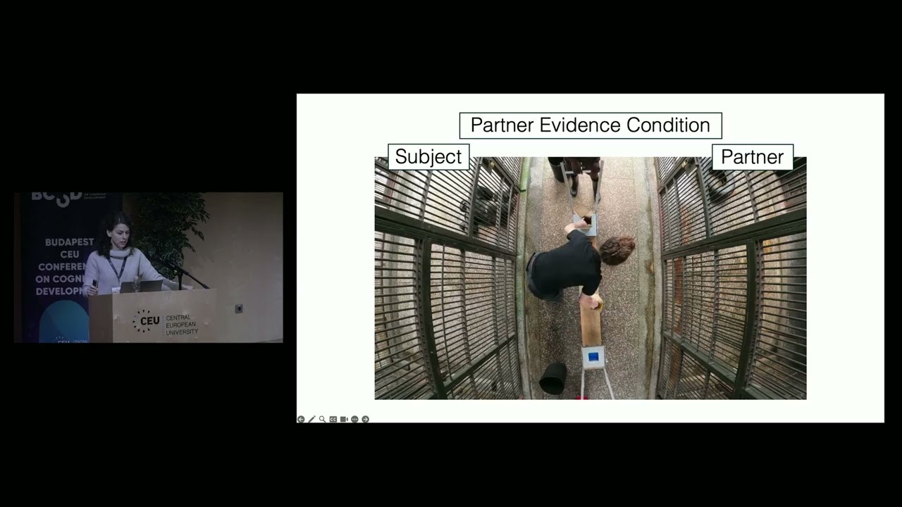 BCCCD26 - Hanna Schleihauf: Chimpanzees rationally revise their beliefs in social situations