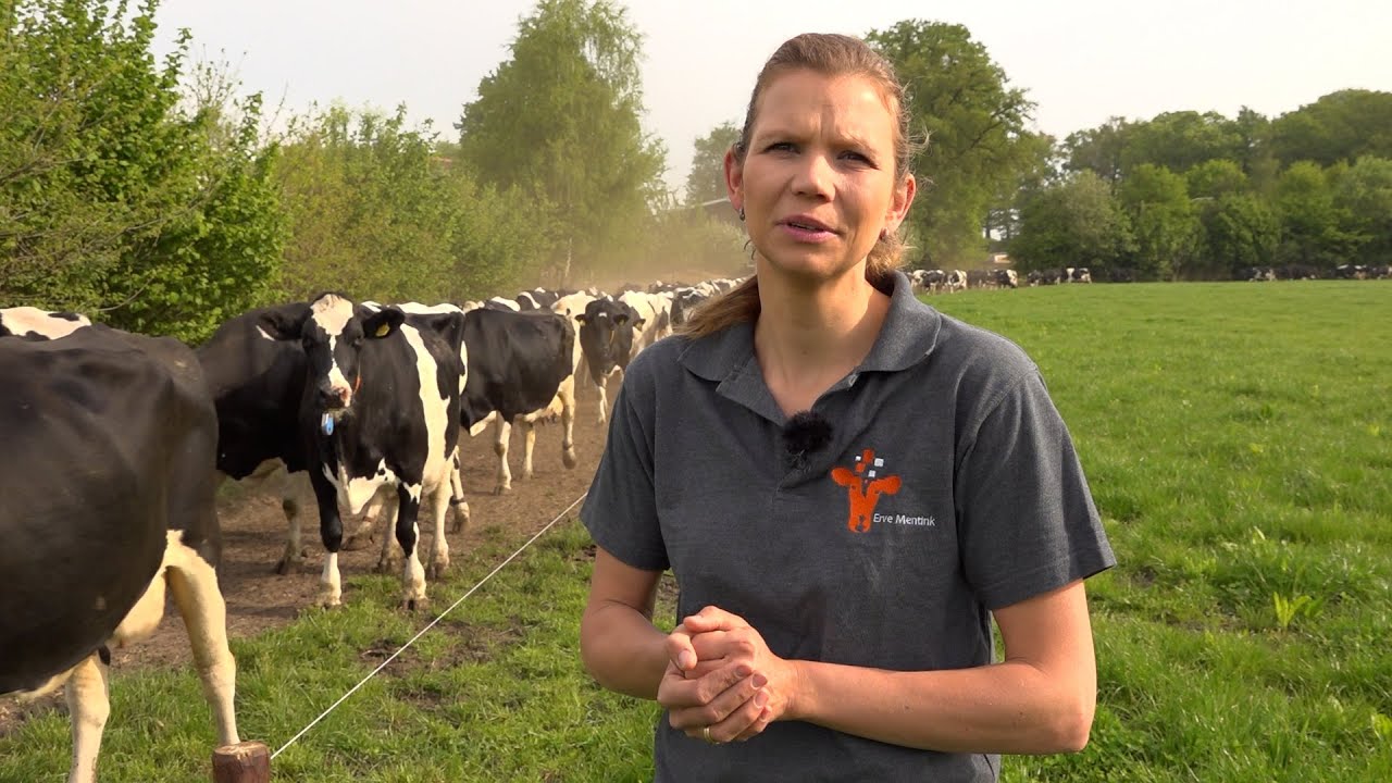 Erve Mentink produceert naast melk ook data