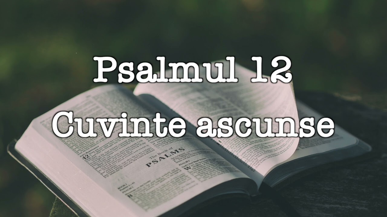 Psalmul 12 - Cuvinte Ascunse - Mesaj de Andrei Popescu