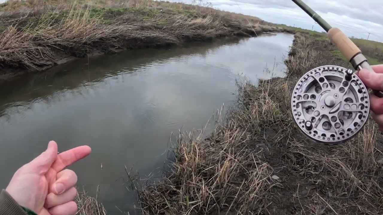 Новогодняя рыбалка на голавля
