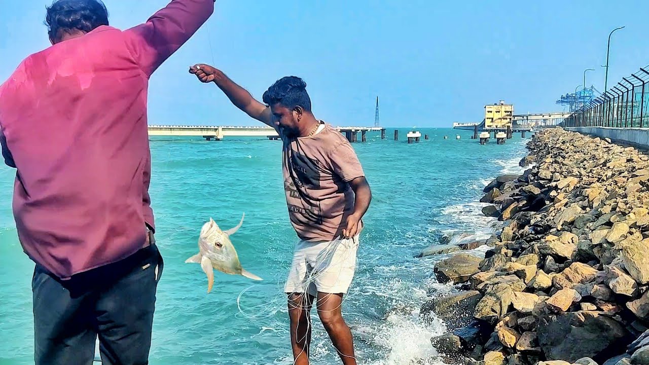 3 ரூபாய் தூண்டிலில் தொடர்ச்சியாக பிடித்த பாறை மீன்கள்
