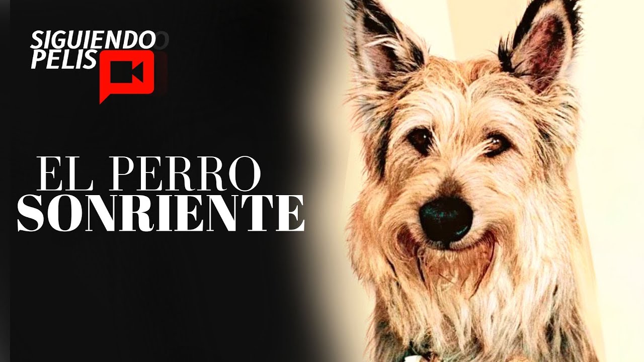 EL PERRO SONRIENTE | RESUMEN EN 10 MINUTOS