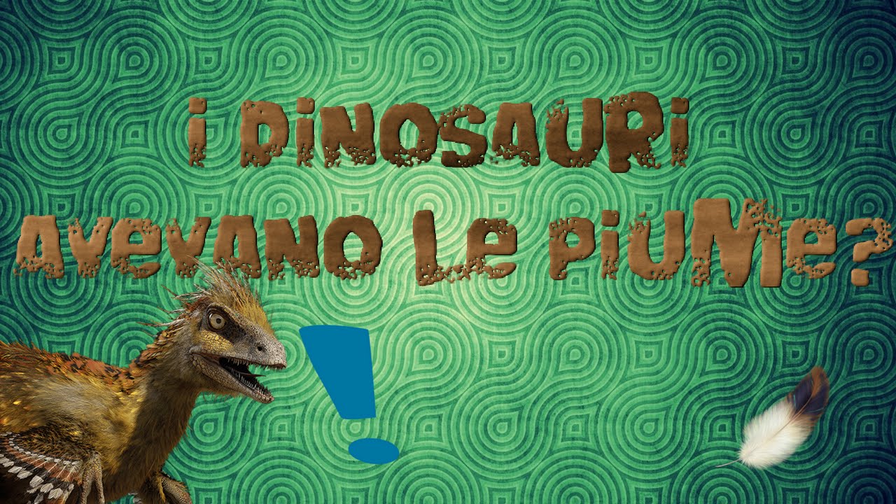 I dinosauri avevano le Piume?